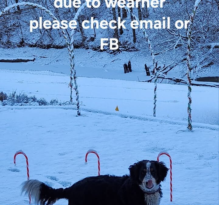 A post from GBS, LLC