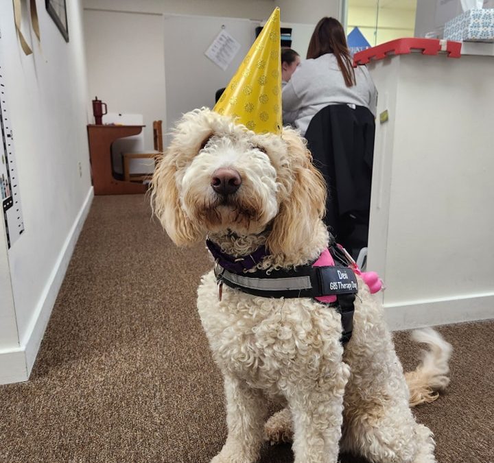 When one of the kids wants you to wear a bday hat,