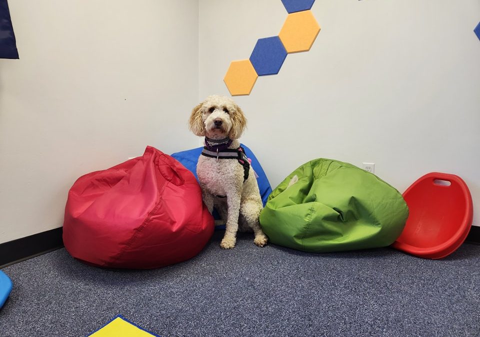 So exciting to do a first responder training..and the opening speaker is a family I worked with back on 2002!!!!!